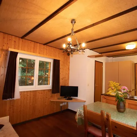 Ferienhaus Residenz Edelweiss Saas309 *